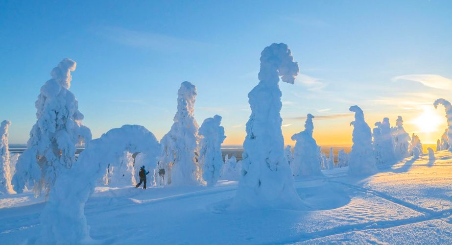 Excursie sneeuwschoenwandelen in Riisitunturi National Park